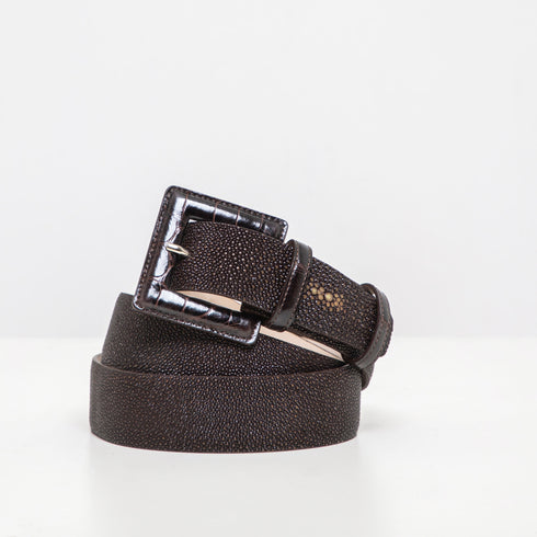 Cintura Donna DOTTI <br>Razza Marrone Scuro, Coccodrillo <br> 36mm
